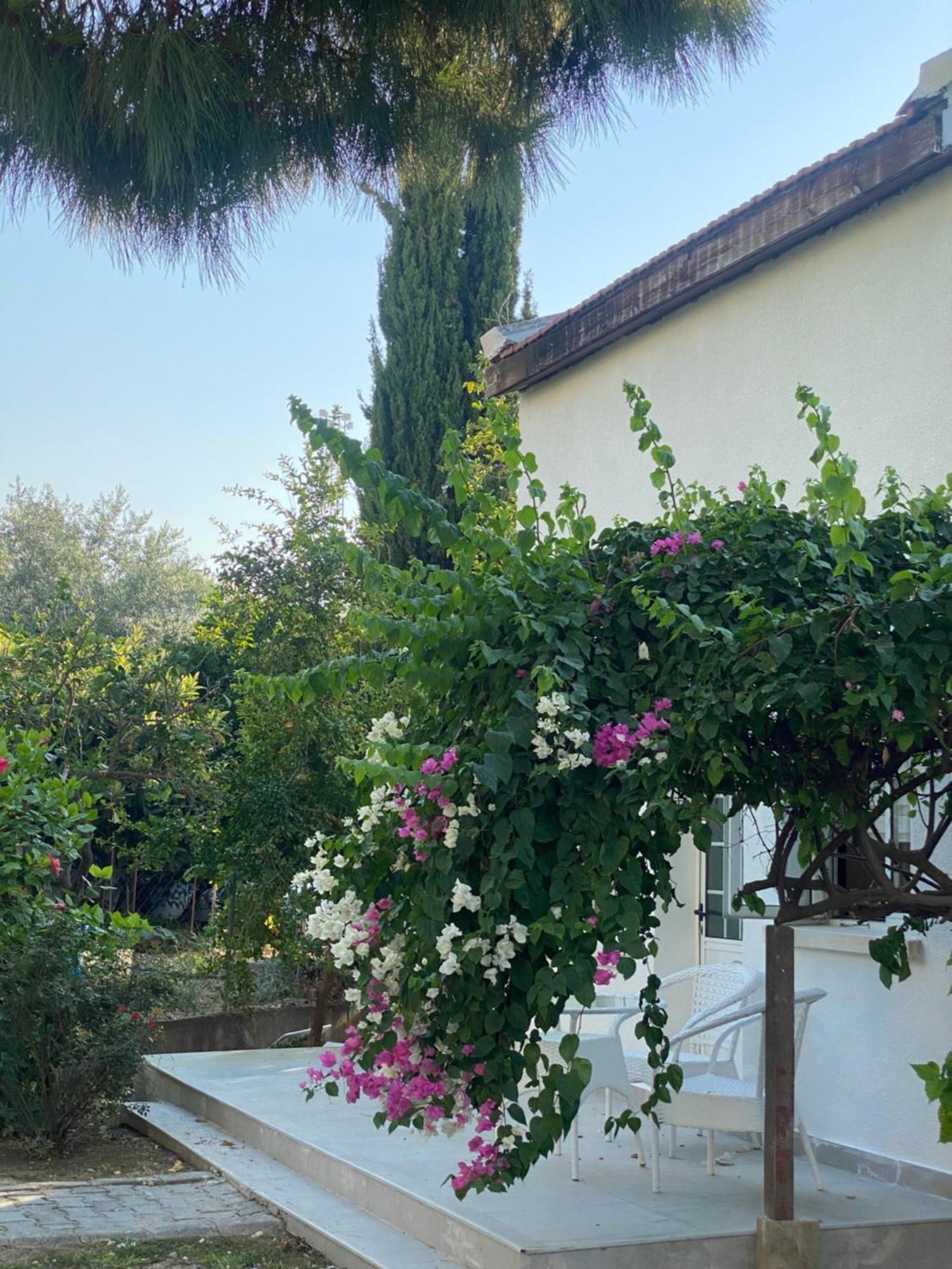 The Prince Inn Hotel & Villas Agios Georgios  Exterior photo
